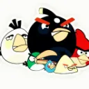 Bird faces