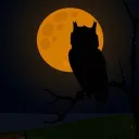 Camp Half-Blood: Moonstruck Discord Server Icon