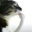 ⟢.ugh . Discord Server Icon
