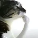 ⟢﹒ugh ﹒ Discord Server Icon