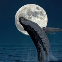 GAZILLIONIRE Discord server icon