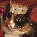 Spillage Monarchy