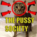 the pussy society (cat server) Discord Server Icon