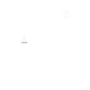 FLYLILLO ETS No Profit Organisation