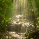 ☆ VENUS ꜝꜝ 𓂃 dj2l! Discord server icon