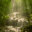  VENUS ꜝꜝ 𓂃 dj2l! Discord Server Icon