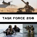 Task Force 208