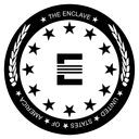 The Enclave Mixed Meta Community Discord Server Icon