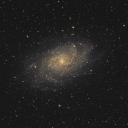 GAELAXY icon