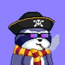 Private Raccoons
