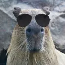 Capybara's Rights