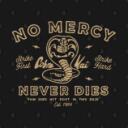 ◜  ◟COBRA KAI: BATTLE OF THE DOJOS. Discord Server Icon