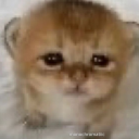 Minion Town Discord server icon