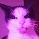 Metal Kitty (18+..)