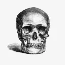 Memento Mori - WEB3