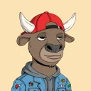 COOL BULLS
