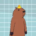 CAPY