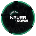 NEVER DOWN RP ™