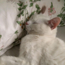 <3