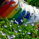 hbtq+ rummet Discord Server Icon