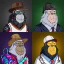 The Brave Gorilla's