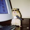 Gaming and Chatting