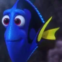 dory gang