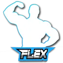 FLEX-TAGS