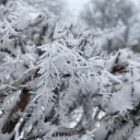 Rime Paradise