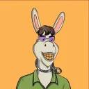BURRO DAO 🏵