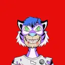 Poly Tigers Club