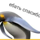 Сервер для важного говорения
