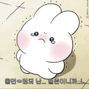 아리와 콩이