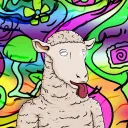 Funky Sheep