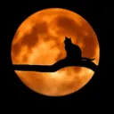 Genesis Italia  Discord Server Icon