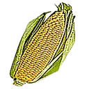 Cornman's ballsdex server