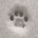 ❥𝕆𝕟𝕝𝕪 𝔽𝕣𝕚𝕖𝕟𝕕𝕤