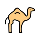 Cool Camels