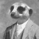 Meerkat HQ
