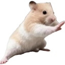 🌻🐹햄찌소굴🐹🌻