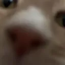 MC Realm Discord Server Icon