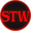Stranger Things Wiki Discord Server Icon