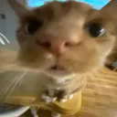 Chill&Chat server :)'s icon