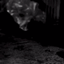 ✧ฬ𝖆𝖘𝖙𝖊𝖉✧ avatar