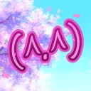 🌸 The Soap Opera 🌸