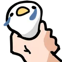 Duck's Canvas