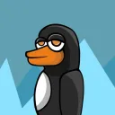 DHA PENGUINS