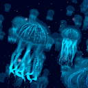 The Wide Ocean 🌈 Discord server icon