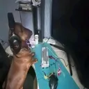 БАНДА БАКЛАНОВ