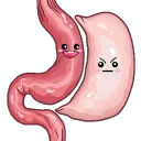 Gastric Sleeve Community
